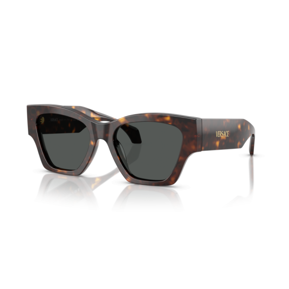 Versace VE 4492U 108/87 Güneş Gözlüğü