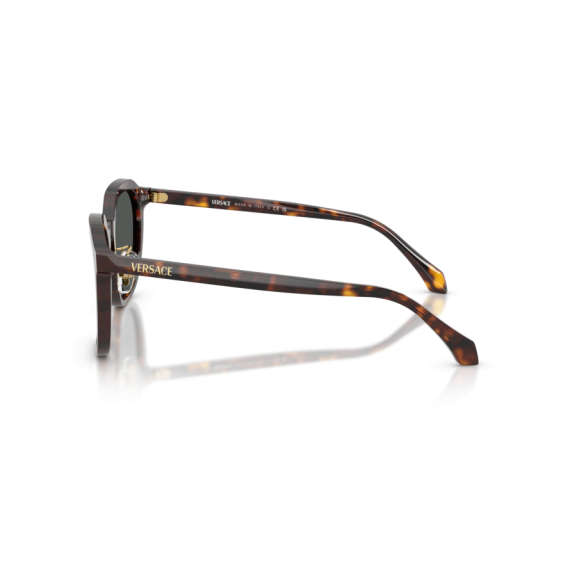 Versace VE 4493D 108/87 Güneş Gözlüğü