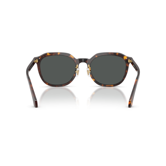 Versace VE 4493D 108/87 Güneş Gözlüğü