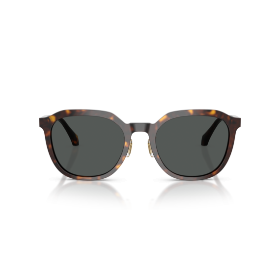 Versace VE 4493D 108/87 Güneş Gözlüğü