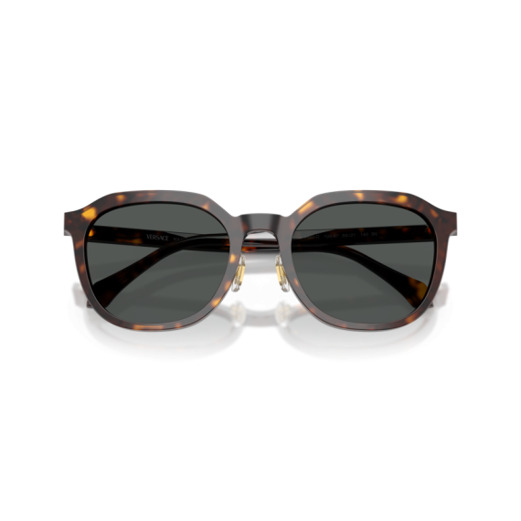 Versace VE 4493D 108/87 Güneş Gözlüğü