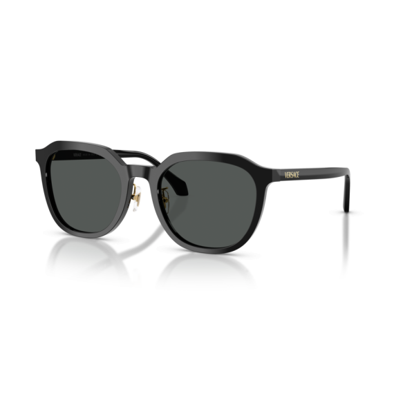 Versace VE 4493D GB1/87 Güneş Gözlüğü