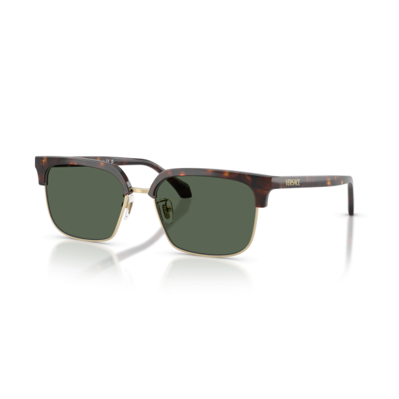 Versace VE 4494D 108/71 Güneş Gözlüğü