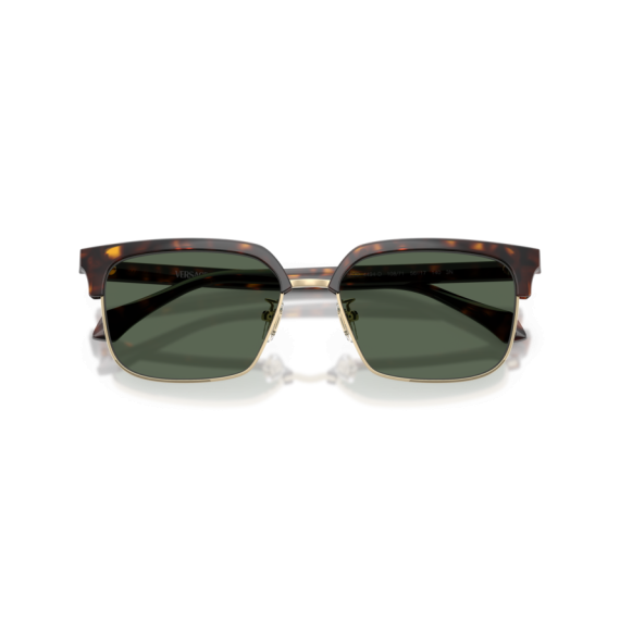 Versace VE 4494D 108/71 Güneş Gözlüğü