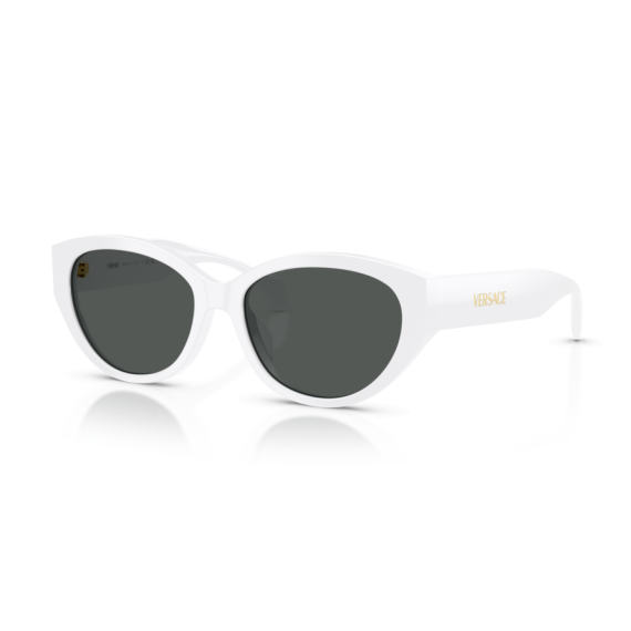 Versace VE 4495D 314/87 Güneş Gözlüğü