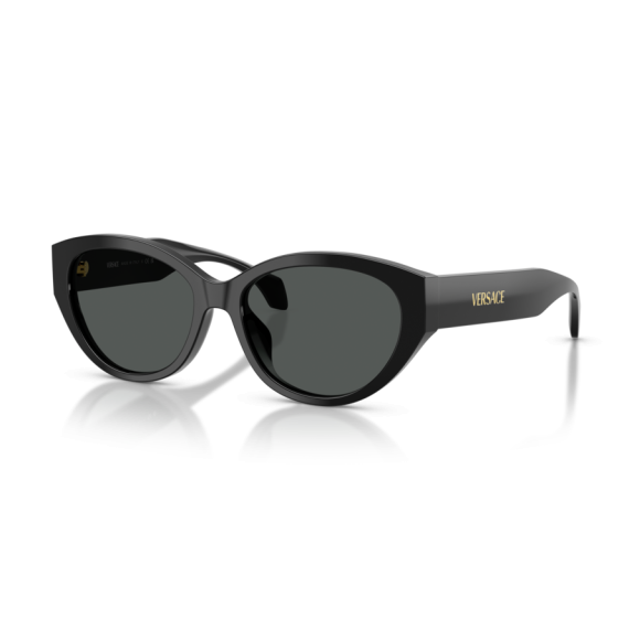 Versace VE 4495D GB1/87 Güneş Gözlüğü