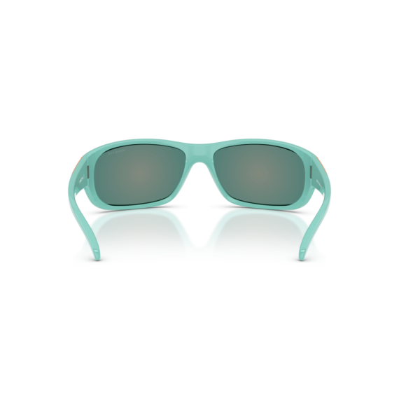 Arnette AN 4290 30226Q Güneş Gözlüğü