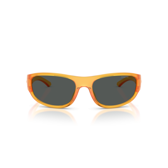 Arnette AN 4361 287587 Güneş Gözlüğü
