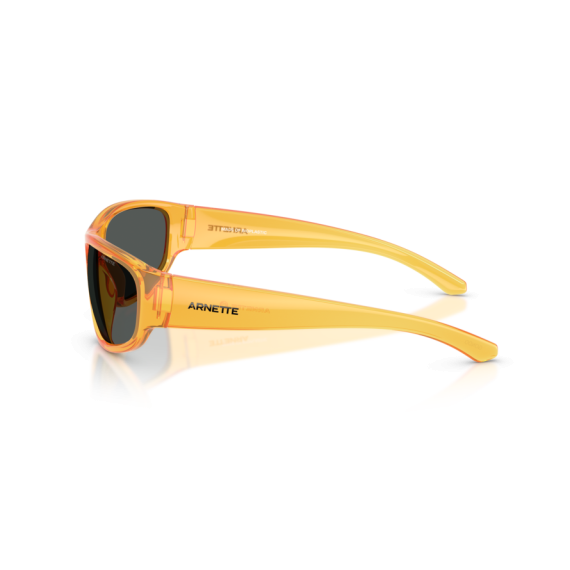 Arnette AN 4361 287587 Güneş Gözlüğü