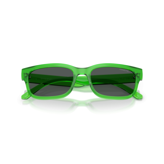 Arnette AN 4363 301487 Güneş Gözlüğü