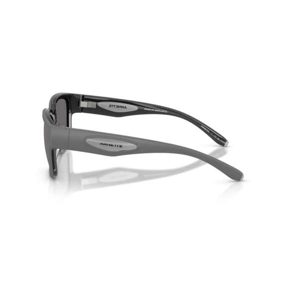 Arnette AN 4366 3009Z3 Güneş Gözlüğü