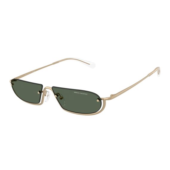 Armani Exchange AX 2058S 612171 Güneş Gözlüğü