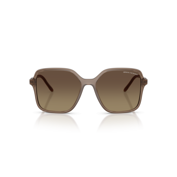 Armani Exchange AX 4163S 8396T5 Güneş Gözlüğü