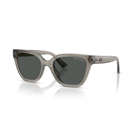 Armani Exchange AX 4164SU 839487 Güneş Gözlüğü