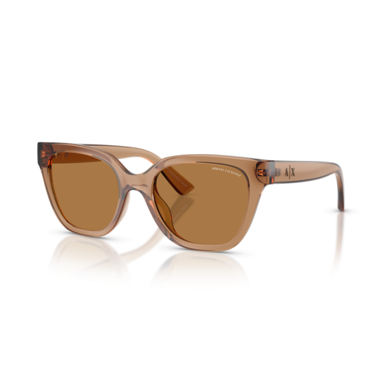Armani Exchange AX 4164SU 839673 Güneş Gözlüğü
