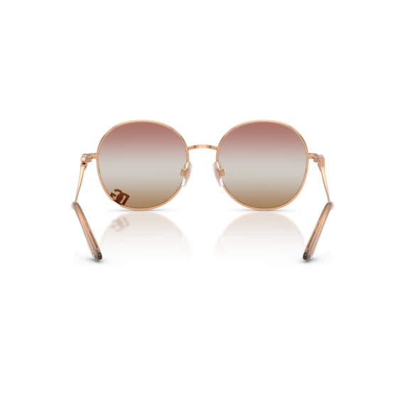 Dolce & Gabbana DG 2324 1298EL Güneş Gözlüğü