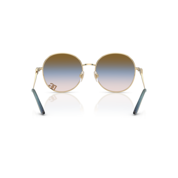 Dolce & Gabbana DG 2324 488/U6 Güneş Gözlüğü