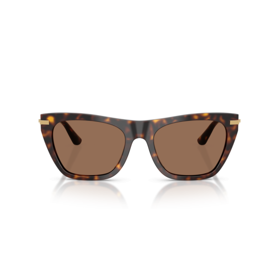 Dolce & Gabbana DG 4511 502/73 Güneş Gözlüğü