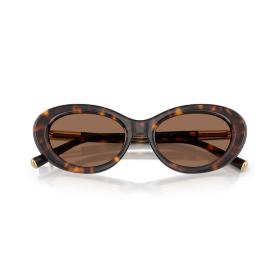 Dolce & Gabbana DG 4519 502/73 Güneş Gözlüğü