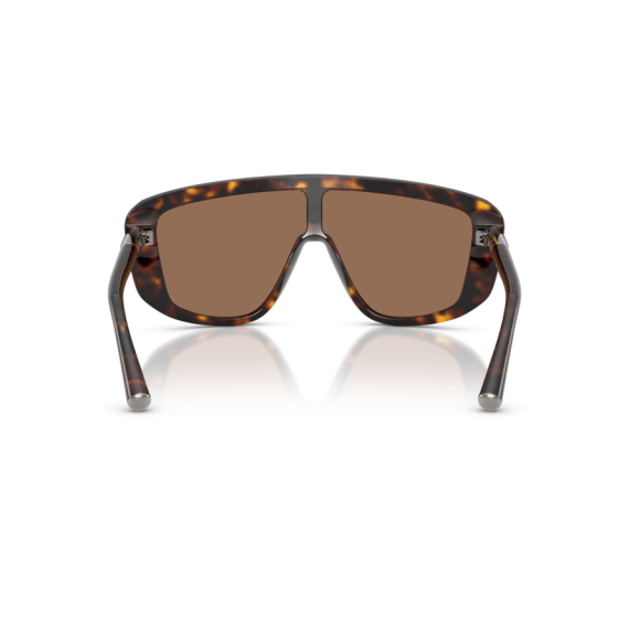 Dolce & Gabbana DG 4520 502/73 Güneş Gözlüğü