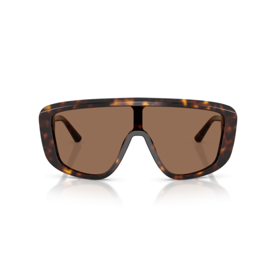 Dolce & Gabbana DG 4520 502/73 Güneş Gözlüğü