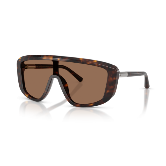 Dolce & Gabbana DG 4520 502/73 Güneş Gözlüğü