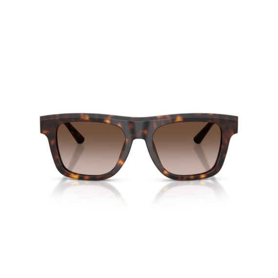 Dolce & Gabbana DG 4521 502/13 Güneş Gözlüğü