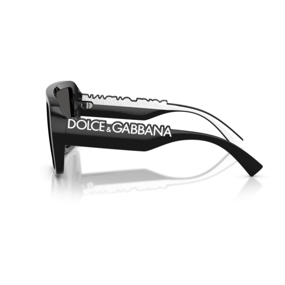 Dolce & Gabbana DG 6204 501/87 Güneş Gözlüğü