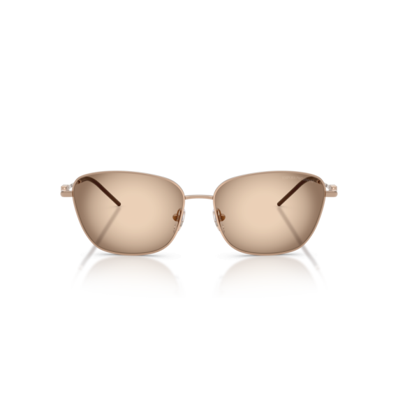 Emporio Armani EA 2170 301113 Güneş Gözlüğü