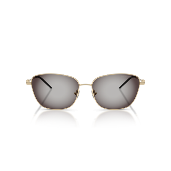 Emporio Armani EA 2170 30138G Güneş Gözlüğü