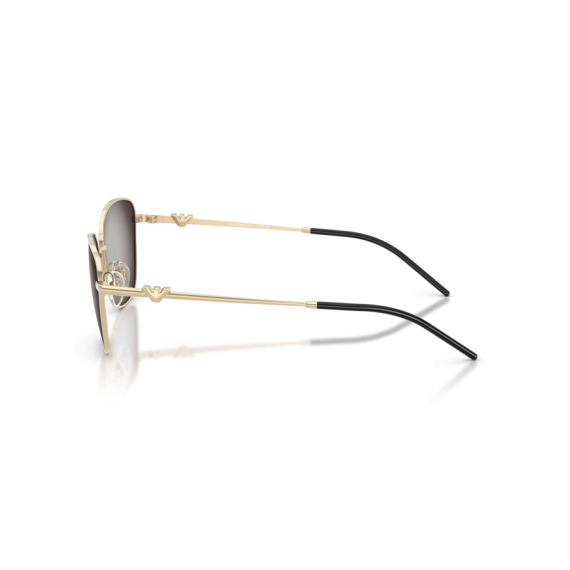 Emporio Armani EA 2170 30138G Güneş Gözlüğü