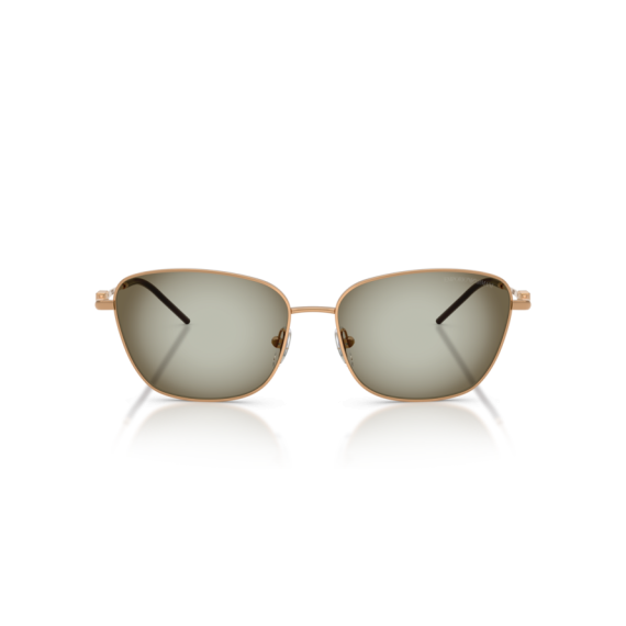 Emporio Armani EA 2170 342713 Güneş Gözlüğü