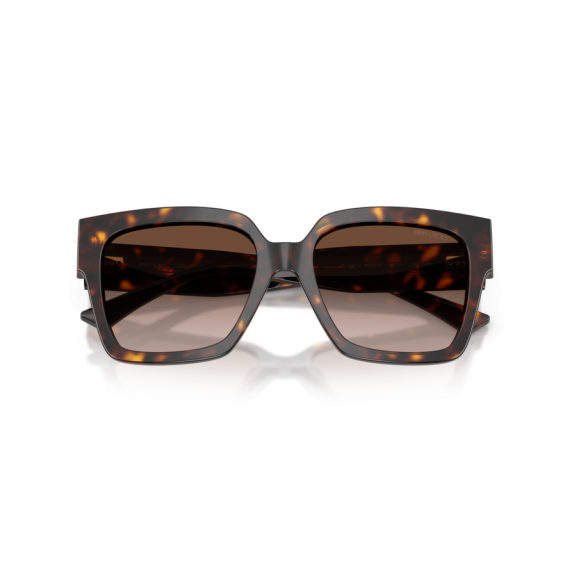 Jimmy Choo JC 5047B 500213 Güneş Gözlüğü