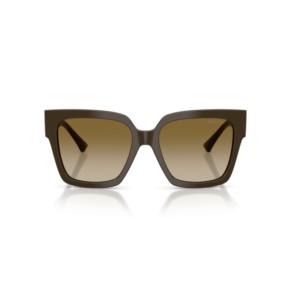 Jimmy Choo JC 5047B 506013 Güneş Gözlüğü