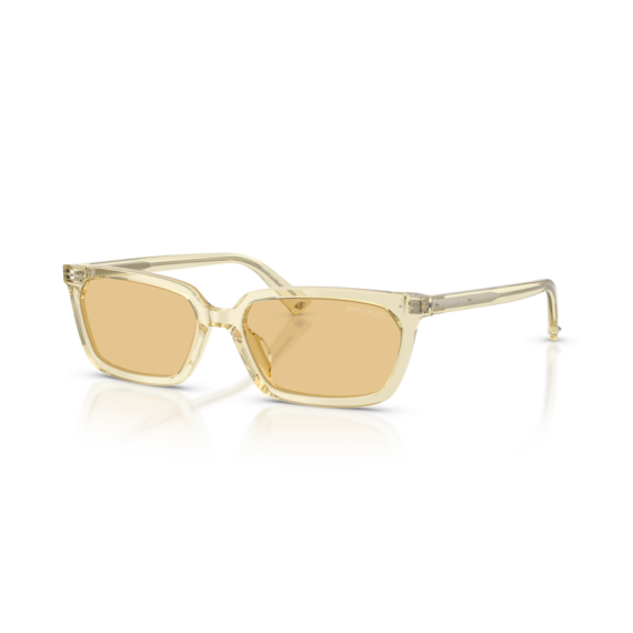 Jimmy Choo JC 5050U 5083/8 Güneş Gözlüğü