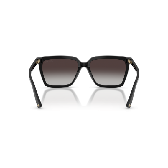 Jimmy Choo JC 5051 50008G Güneş Gözlüğü