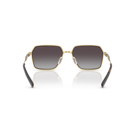 Michael Kors MK 1176 18963C Güneş Gözlüğü