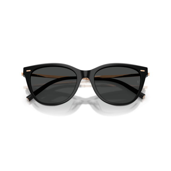 Oliver Peoples OV 5597SU 100587 Güneş Gözlüğü