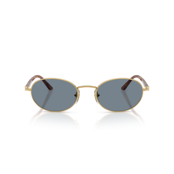 Persol PO 1018S 113256 Güneş Gözlüğü, Ekartman: 52