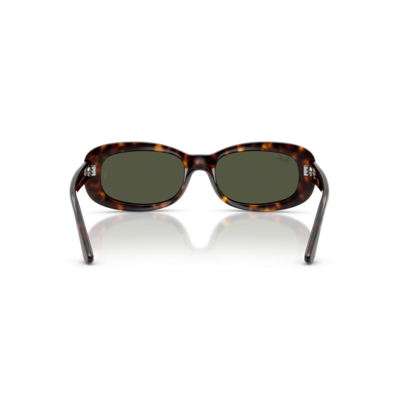 Ray-Ban RB 2221 902/31 Güneş Gözlüğü, Ekartman: 53
