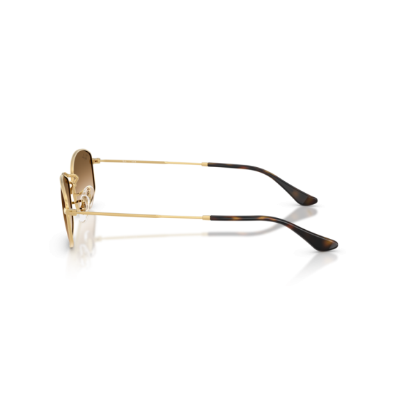 Ray-Ban RB 3832 001/51 Güneş Gözlüğü, Ekartman: 55