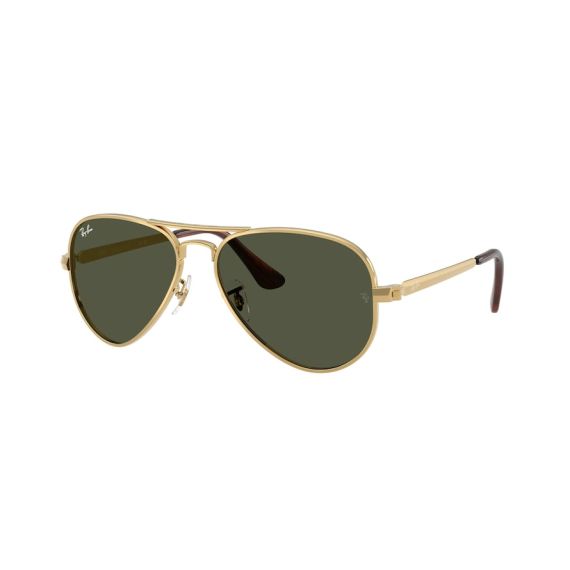 Ray-Ban RB 3925 001/31 Güneş Gözlüğü, Ekartman: 58