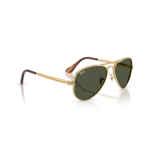 Ray-Ban RB 3925 001/31 Güneş Gözlüğü, Ekartman: 58