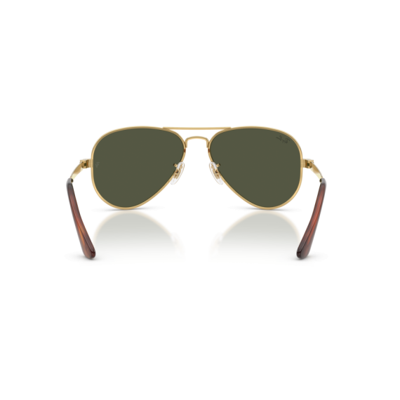 Ray-Ban RB 3925 001/31 Güneş Gözlüğü, Ekartman: 62