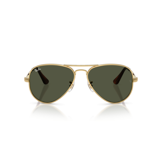 Ray-Ban RB 3925 001/31 Güneş Gözlüğü, Ekartman: 58