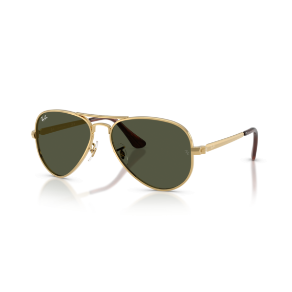 Ray-Ban RB 3925 001/31 Güneş Gözlüğü, Ekartman: 58