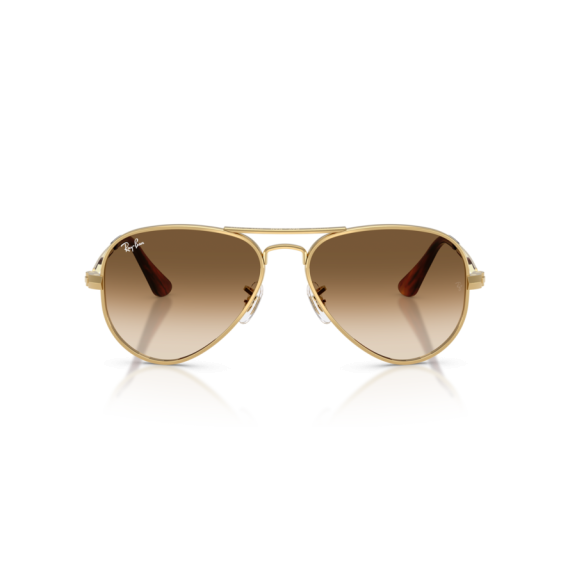 Ray-Ban RB 3925 001/51 Güneş Gözlüğü, Ekartman: 58