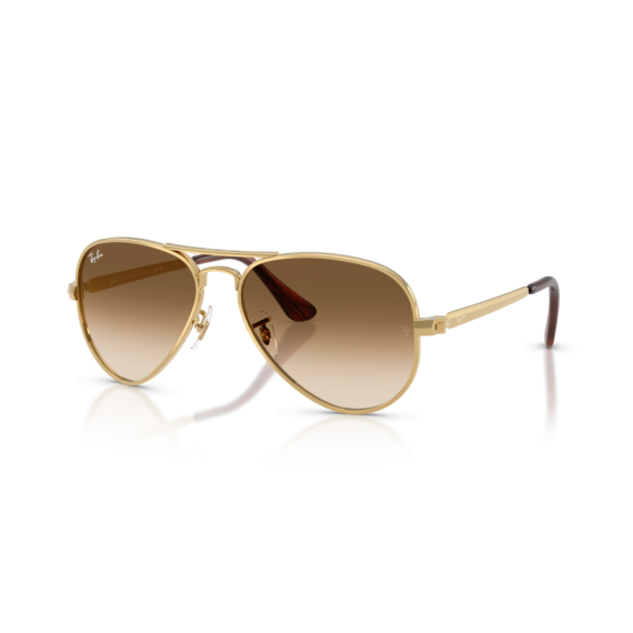 Ray-Ban RB 3925 001/51 Güneş Gözlüğü, Ekartman: 58