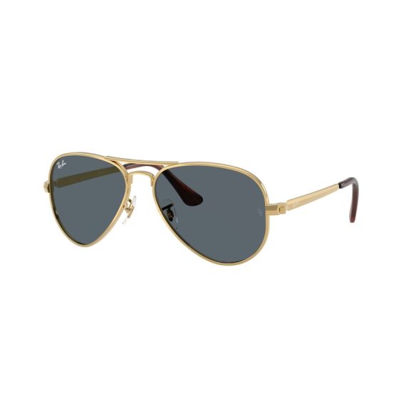 Ray-Ban RB 3925 001/R5 Güneş Gözlüğü, Ekartman: 58