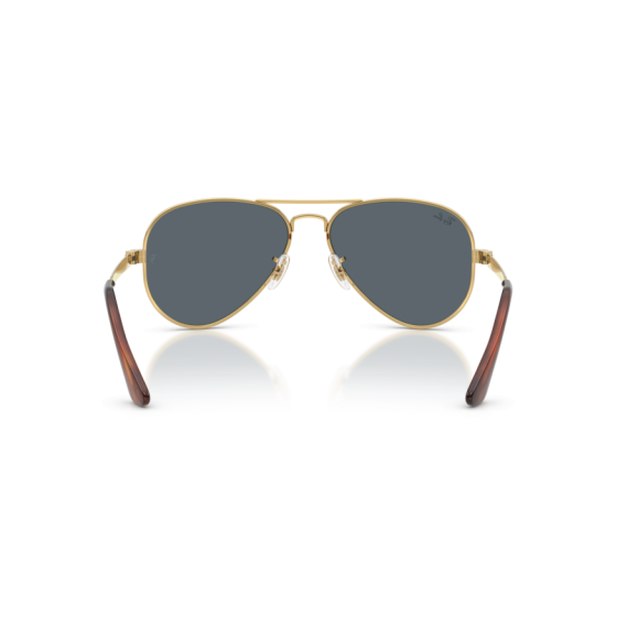 Ray-Ban RB 3925 001/R5 Güneş Gözlüğü, Ekartman: 58